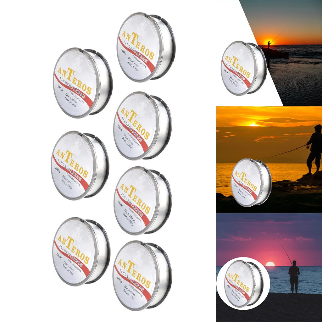 Pelapis memancing fluorokarbon - Fluorocarbon Line ulasan dan harga